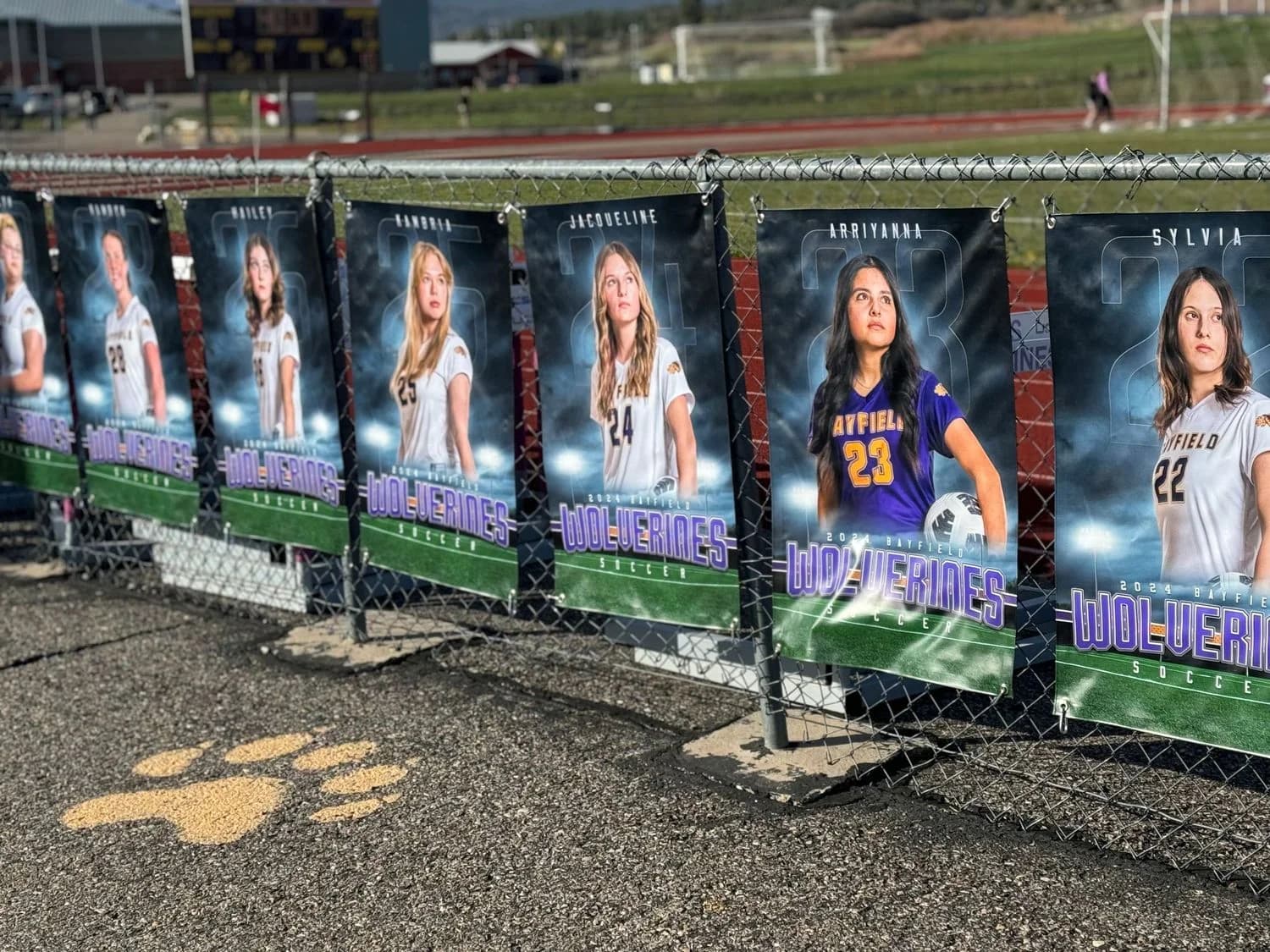 School Senior Player Banners 2