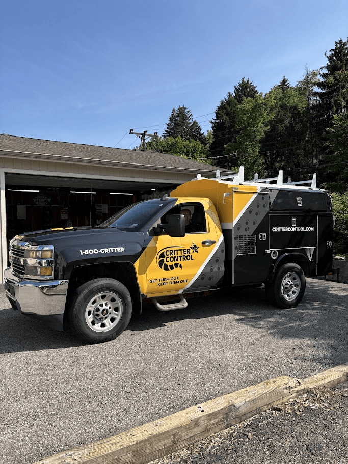 Pest Control Service Vehicle Graphics